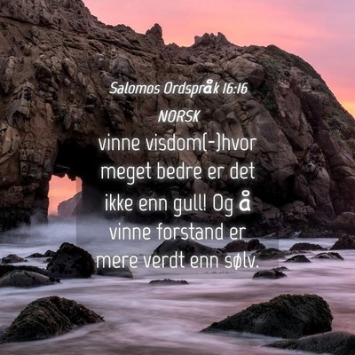 Picture 04 - Salomos Ordspråk 16:16 NORSK - vinne visdom(-)hvor meget bedre er det ikke enn - Bible Verse Picture