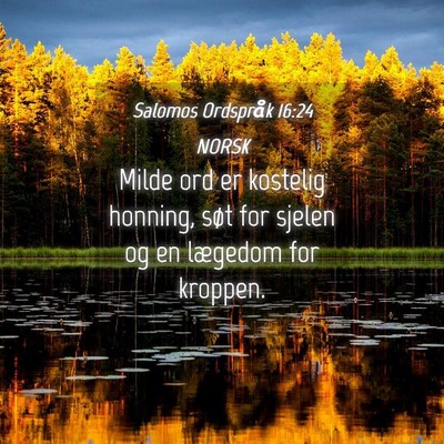 Picture 04 - Salomos Ordspråk 16:24 NORSK - Milde ord er kostelig honning, søt for sjelen og - Bible Verse Picture
