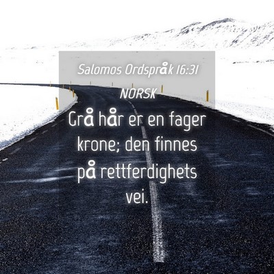 Picture 04 - Salomos Ordspråk 16:31 NORSK - Grå hår er en fager krone; den finnes på - Bible Verse Picture
