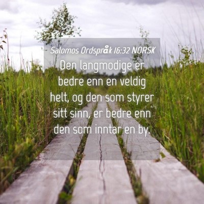 Picture 04 - Salomos Ordspråk 16:32 NORSK - Den langmodige er bedre enn en veldig helt, og - Bible Verse Picture