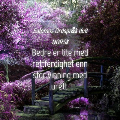 Picture 04 - Salomos Ordspråk 16:8 NORSK - Bedre er lite med rettferdighet enn stor vinning - Bible Verse Picture