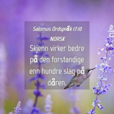 Picture 04 - Salomos Ordspråk 17:10 NORSK - Skjenn virker bedre på den forstandige enn - Bible Verse Picture