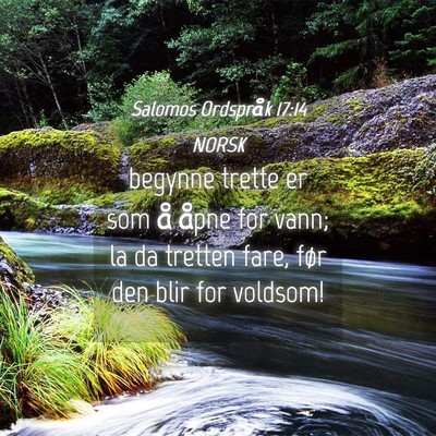 Picture 04 - Salomos Ordspråk 17:14 NORSK - begynne trette er som å åpne for vann; la da - Bible Verse Picture
