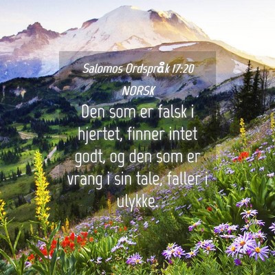 Picture 04 - Salomos Ordspråk 17:20 NORSK - Den som er falsk i hjertet, finner intet godt, og - Bible Verse Picture