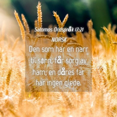 Picture 04 - Salomos Ordspråk 17:21 NORSK - Den som har en narr til sønn, får sorg av ham; - Bible Verse Picture
