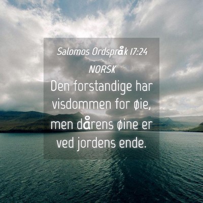 Picture 04 - Salomos Ordspråk 17:24 NORSK - Den forstandige har visdommen for øie, men - Bible Verse Picture