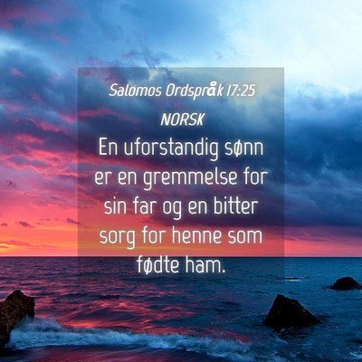 Picture 04 - Salomos Ordspråk 17:25 NORSK - En uforstandig sønn er en gremmelse for sin far - Bible Verse Picture