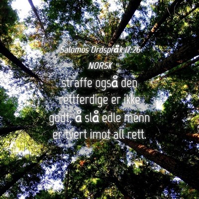 Picture 04 - Salomos Ordspråk 17:26 NORSK - straffe også den rettferdige er ikke godt; å - Bible Verse Picture