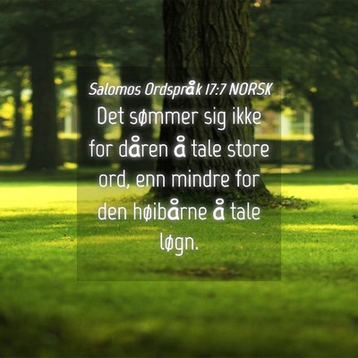 Picture 04 - Salomos Ordspråk 17:7 NORSK - Det sømmer sig ikke for dåren å tale store - Bible Verse Picture