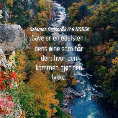 Picture 04 - Salomos Ordspråk 17:8 NORSK - Gave er en edelsten i dens øine som får den; - Bible Verse Picture
