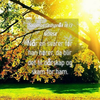 Picture 04 - Salomos Ordspråk 18:13 NORSK - Når en svarer før han hører, da blir det til - Bible Verse Picture