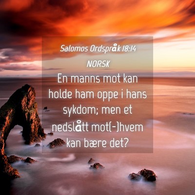 Picture 04 - Salomos Ordspråk 18:14 NORSK - En manns mot kan holde ham oppe i hans sykdom; - Bible Verse Picture