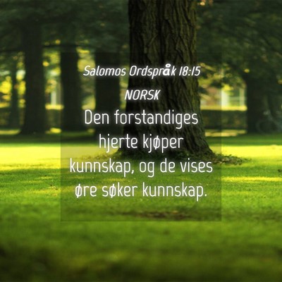 Picture 04 - Salomos Ordspråk 18:15 NORSK - Den forstandiges hjerte kjøper kunnskap, og de - Bible Verse Picture