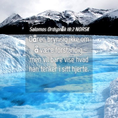 Picture 04 - Salomos Ordspråk 18:2 NORSK - Dåren bryr sig ikke om å være forstandig, men - Bible Verse Picture