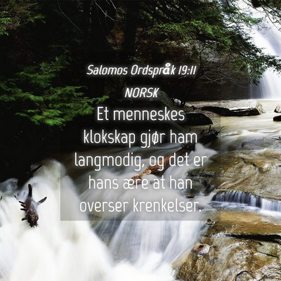 Picture 04 - Salomos Ordspråk 19:11 NORSK - Et menneskes klokskap gjør ham langmodig, og det - Bible Verse Picture