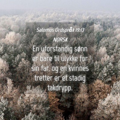 Picture 04 - Salomos Ordspråk 19:13 NORSK - En uforstandig sønn er bare til ulykke for sin - Bible Verse Picture