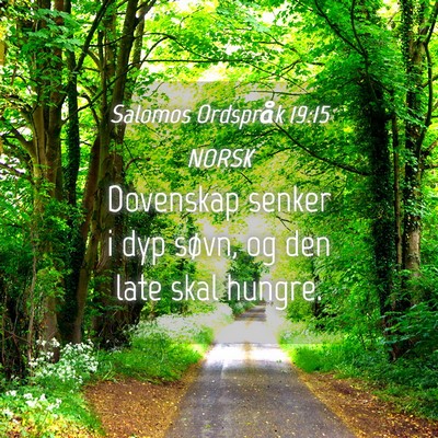 Picture 04 - Salomos Ordspråk 19:15 NORSK - Dovenskap senker i dyp søvn, og den late skal - Bible Verse Picture