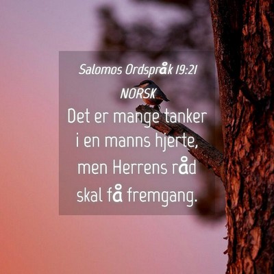 Picture 04 - Salomos Ordspråk 19:21 NORSK - Det er mange tanker i en manns hjerte, men - Bible Verse Picture