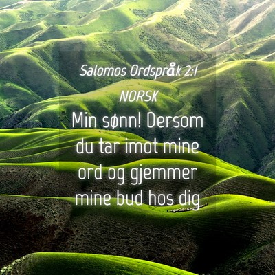 Picture 04 - Salomos Ordspråk 2:1 NORSK - Min sønn! Dersom du tar imot mine ord og gjemmer - Bible Verse Picture