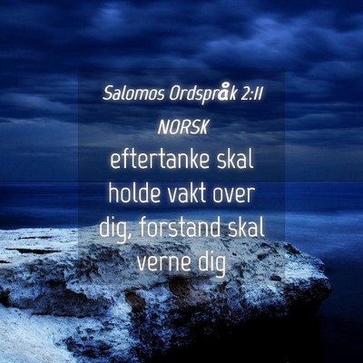 Picture 04 - Salomos Ordspråk 2:11 NORSK - eftertanke skal holde vakt over dig, forstand - Bible Verse Picture