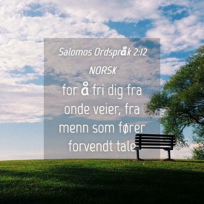 Picture 04 - Salomos Ordspråk 2:12 NORSK - for å fri dig fra onde veier, fra menn som - Bible Verse Picture