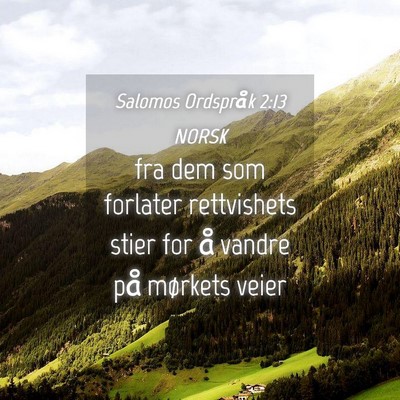 Picture 04 - Salomos Ordspråk 2:13 NORSK - fra dem som forlater rettvishets stier for å - Bible Verse Picture