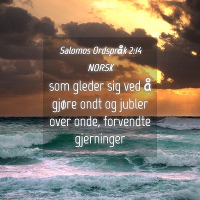 Picture 04 - Salomos Ordspråk 2:14 NORSK - som gleder sig ved å gjøre ondt og jubler over - Bible Verse Picture