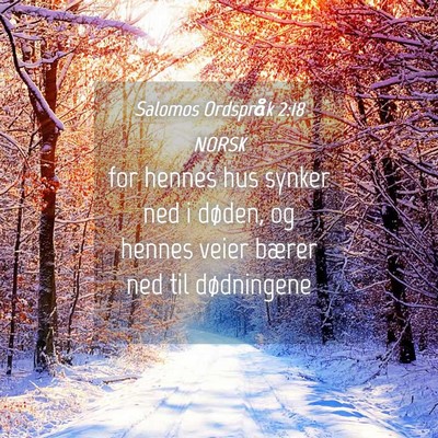 Picture 04 - Salomos Ordspråk 2:18 NORSK - for hennes hus synker ned i døden, og hennes - Bible Verse Picture