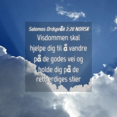 Picture 04 - Salomos Ordspråk 2:20 NORSK - Visdommen skal hjelpe dig til å vandre på de - Bible Verse Picture