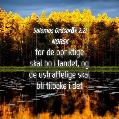 Picture 04 - Salomos Ordspråk 2:21 NORSK - for de opriktige skal bo i landet, og de - Bible Verse Picture