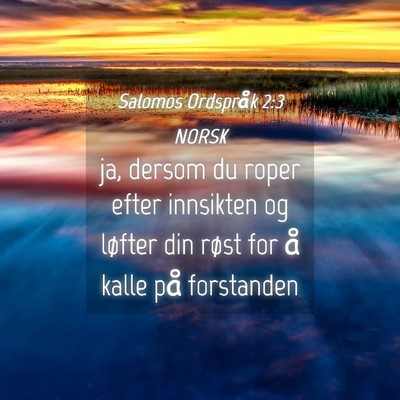 Picture 04 - Salomos Ordspråk 2:3 NORSK - ja, dersom du roper efter innsikten og løfter - Bible Verse Picture