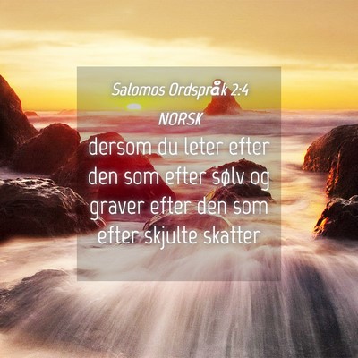 Picture 04 - Salomos Ordspråk 2:4 NORSK - dersom du leter efter den som efter sølv og - Bible Verse Picture