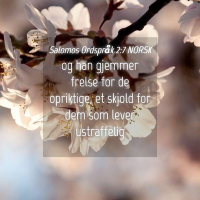 Picture 04 - Salomos Ordspråk 2:7 NORSK - og han gjemmer frelse for de opriktige, et skjold - Bible Verse Picture