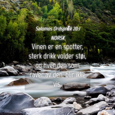 Picture 04 - Salomos Ordspråk 20:1 NORSK - Vinen er en spotter, sterk drikk volder støi, og - Bible Verse Picture