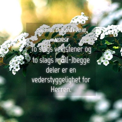 Picture 04 - Salomos Ordspråk 20:10 NORSK - To slags vektstener og to slags mål(-)begge - Bible Verse Picture