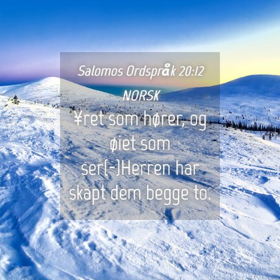 Picture 04 - Salomos Ordspråk 20:12 NORSK - ¥ret som hører, og øiet som ser(-)Herren har - Bible Verse Picture