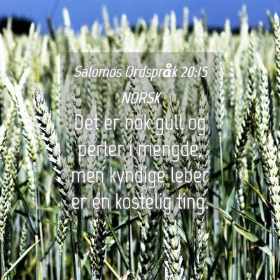 Picture 04 - Salomos Ordspråk 20:15 NORSK - Det er nok gull og perler i mengde, men kyndige - Bible Verse Picture