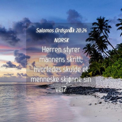Picture 04 - Salomos Ordspråk 20:24 NORSK - Herren styrer mannens skritt; hvorledes skulde et - Bible Verse Picture