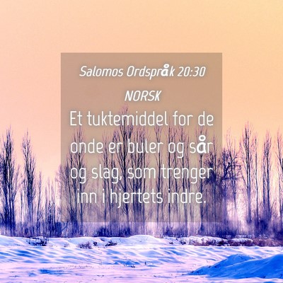 Picture 04 - Salomos Ordspråk 20:30 NORSK - Et tuktemiddel for de onde er buler og sår og - Bible Verse Picture