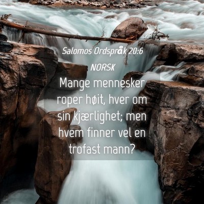 Picture 04 - Salomos Ordspråk 20:6 NORSK - Mange mennesker roper høit, hver om sin - Bible Verse Picture
