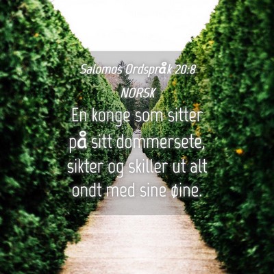 Picture 04 - Salomos Ordspråk 20:8 NORSK - En konge som sitter på sitt dommersete, sikter - Bible Verse Picture