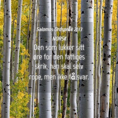Picture 04 - Salomos Ordspråk 21:13 NORSK - Den som lukker sitt øre for den fattiges skrik, - Bible Verse Picture
