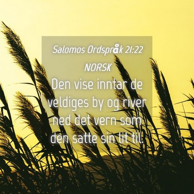 Picture 04 - Salomos Ordspråk 21:22 NORSK - Den vise inntar de veldiges by og river ned det - Bible Verse Picture