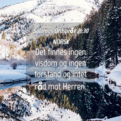 Picture 04 - Salomos Ordspråk 21:30 NORSK - Det finnes ingen visdom og ingen forstand og - Bible Verse Picture