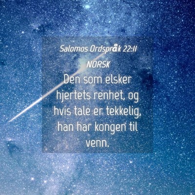 Picture 04 - Salomos Ordspråk 22:11 NORSK - Den som elsker hjertets renhet, og hvis tale er - Bible Verse Picture