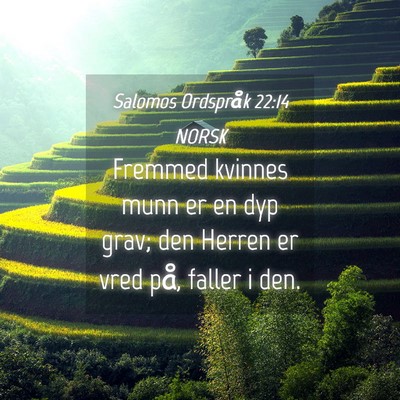 Picture 04 - Salomos Ordspråk 22:14 NORSK - Fremmed kvinnes munn er en dyp grav; den Herren - Bible Verse Picture