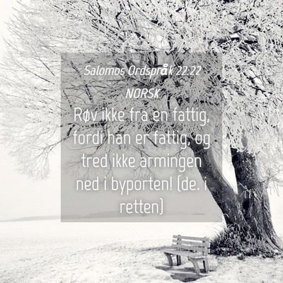 Picture 04 - Salomos Ordspråk 22:22 NORSK - Røv ikke fra en fattig, fordi han er fattig, og - Bible Verse Picture
