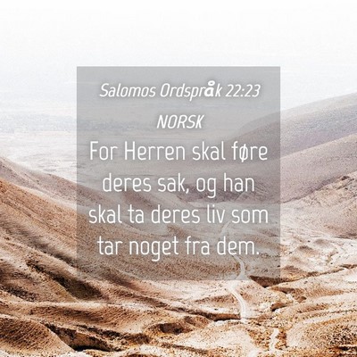 Picture 04 - Salomos Ordspråk 22:23 NORSK - For Herren skal føre deres sak, og han skal ta - Bible Verse Picture