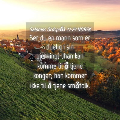 Picture 04 - Salomos Ordspråk 22:29 NORSK - Ser du en mann som er duelig i sin gjerning(-)han - Bible Verse Picture