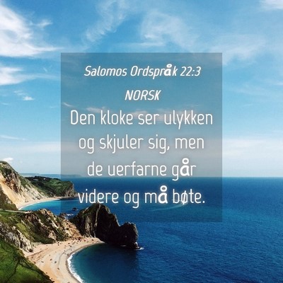 Picture 04 - Salomos Ordspråk 22:3 NORSK - Den kloke ser ulykken og skjuler sig, men de - Bible Verse Picture